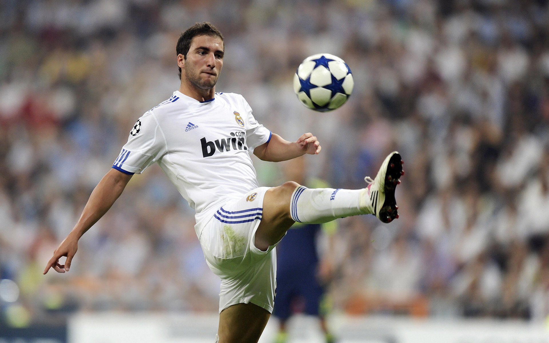 巨星群像：每个人都在自己的巅峰！，巨星star