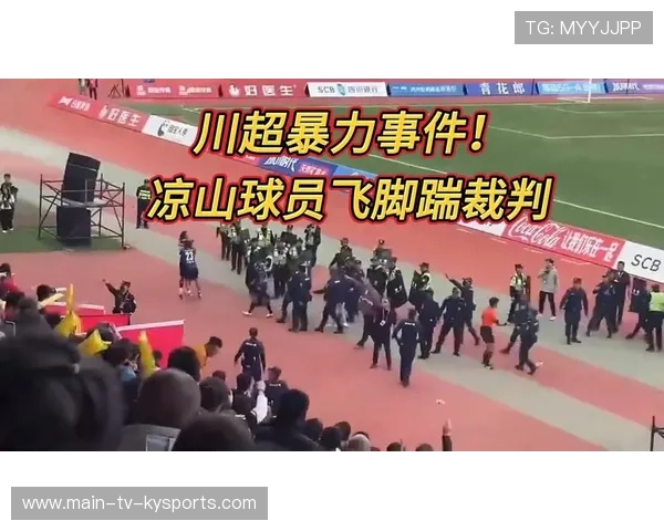 比赛因球迷事件中止,足协介入调查 比赛因球迷事件中止,足协介入调查