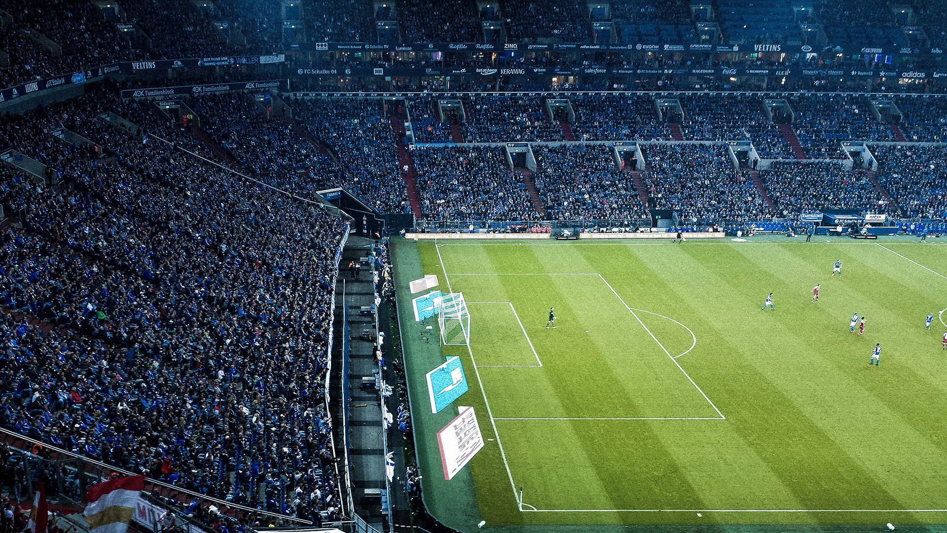 勇士队内部备战密集,争夺王座,勇士队具体位置